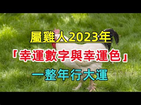 屬雞2023幸運色|2023十二生肖運勢&幸運色公開！屬鼠犯太歲、屬牛偏。